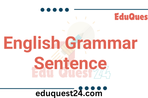 5 Types of Sentence Example