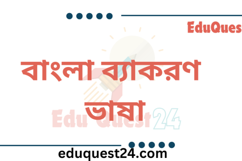 বাংলা ভাষার উৎপত্তি ও ক্রমবিকাশ