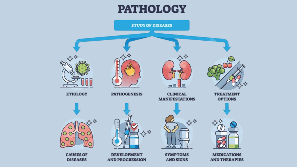 What Is Robbins Basic Pathology?
