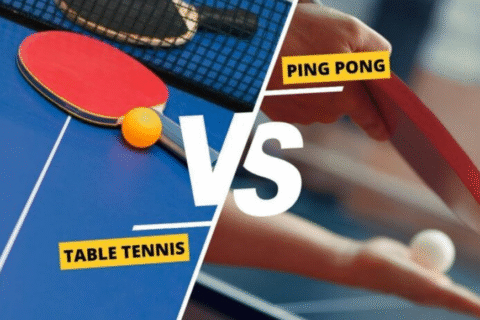 Ping Pong vs Table Tennis